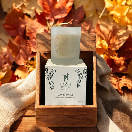 Autumn Essential Oil Candles - Mood changing